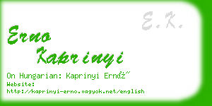 erno kaprinyi business card